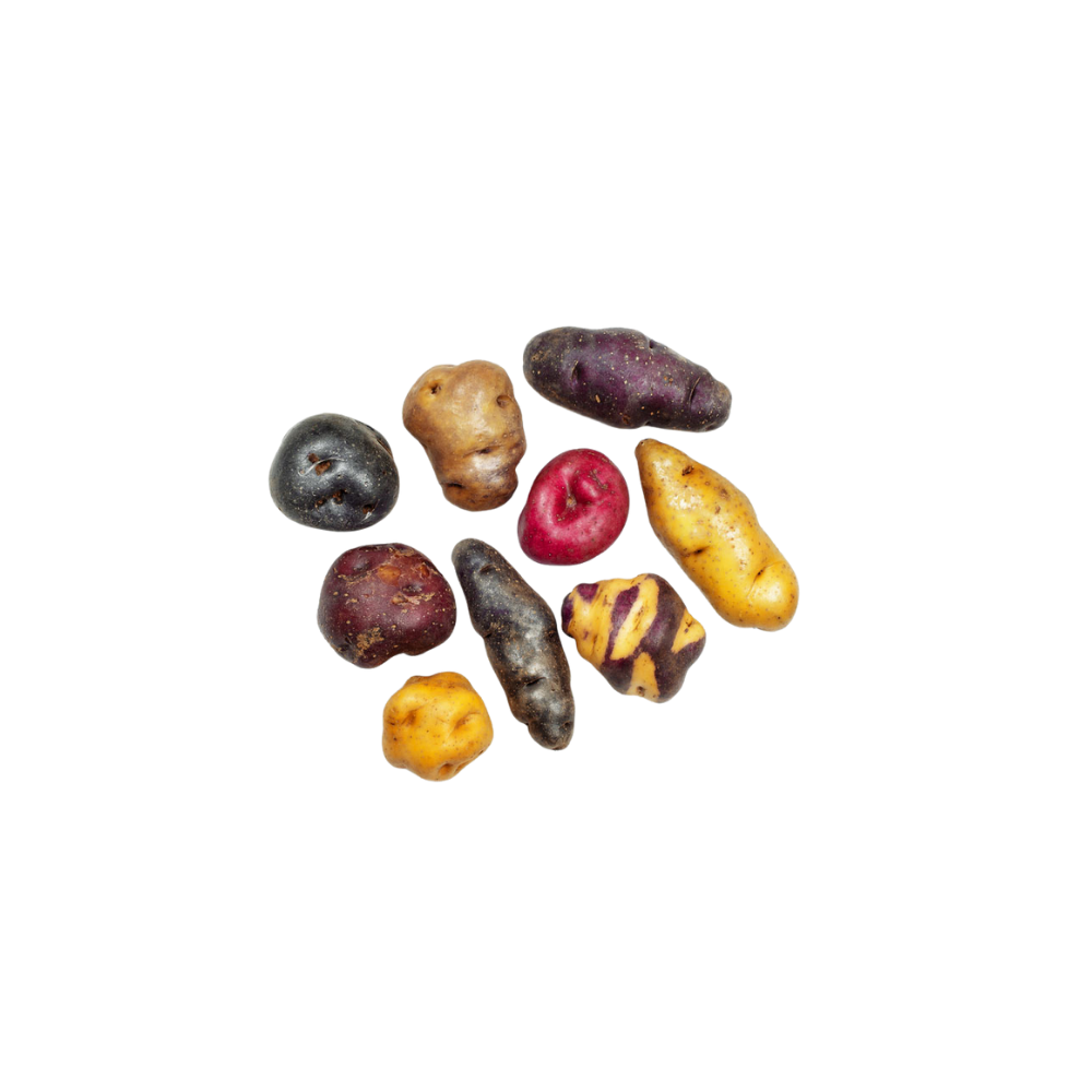 peruvian ingredient potatoes